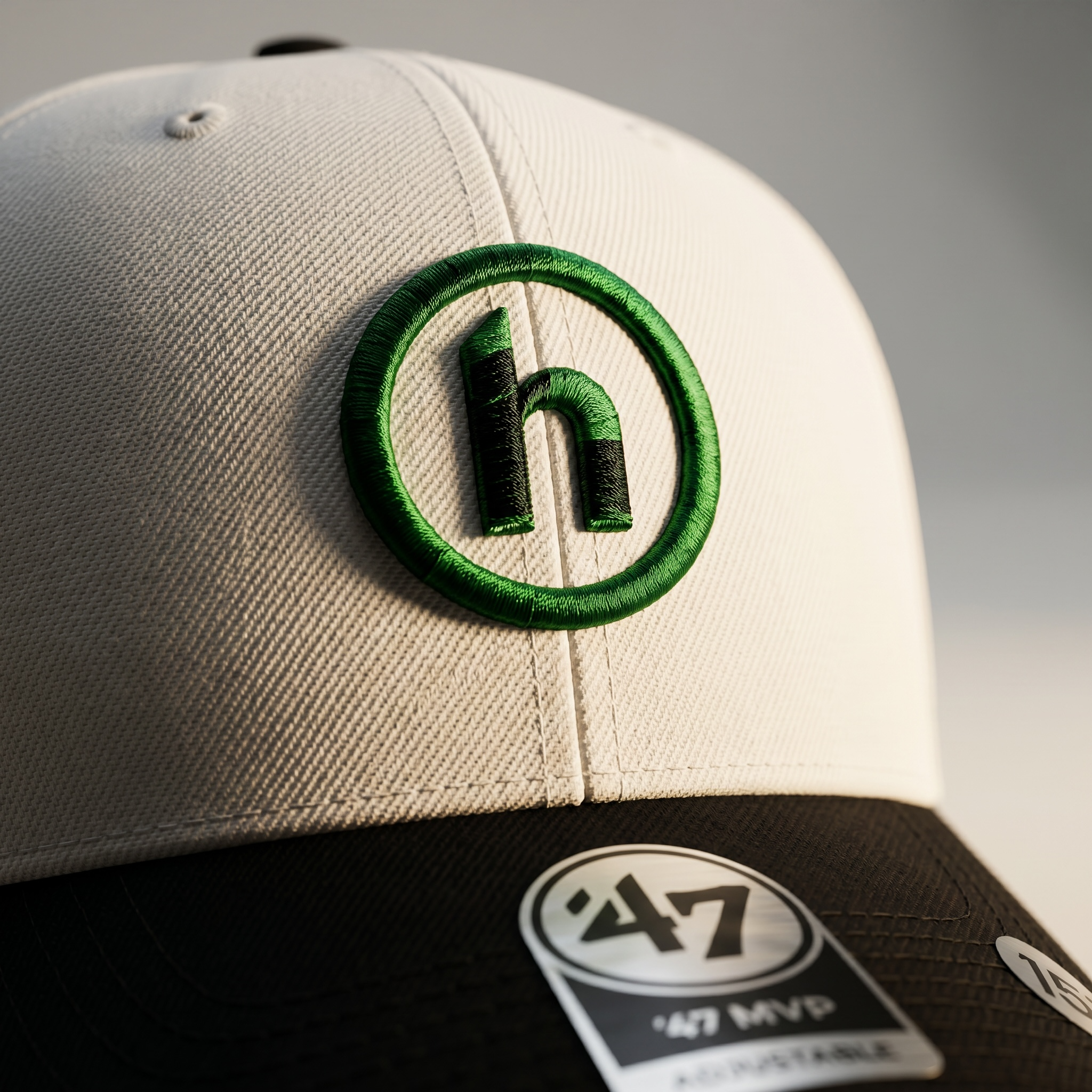 Hidden Hidden x ’47 MVP Two Tone Core Hat